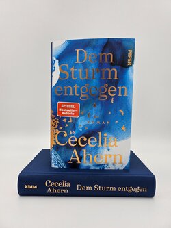 Innenansicht 8